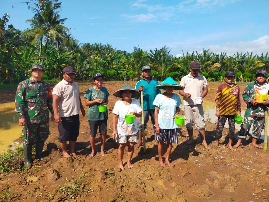 Pendampingan Penanaman Jagung Hibrida Betras oleh Babinsa Bulurejo: Langkah Menuju Ketahanan Pangan Lokal